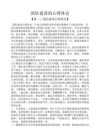 团队建设的心得体会