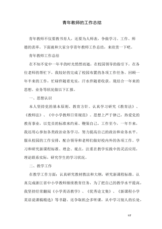 青年教师的工作总结