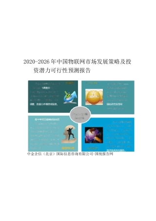 2020-2026年中国物联网市场发展策略及投资潜力可行性预测报告