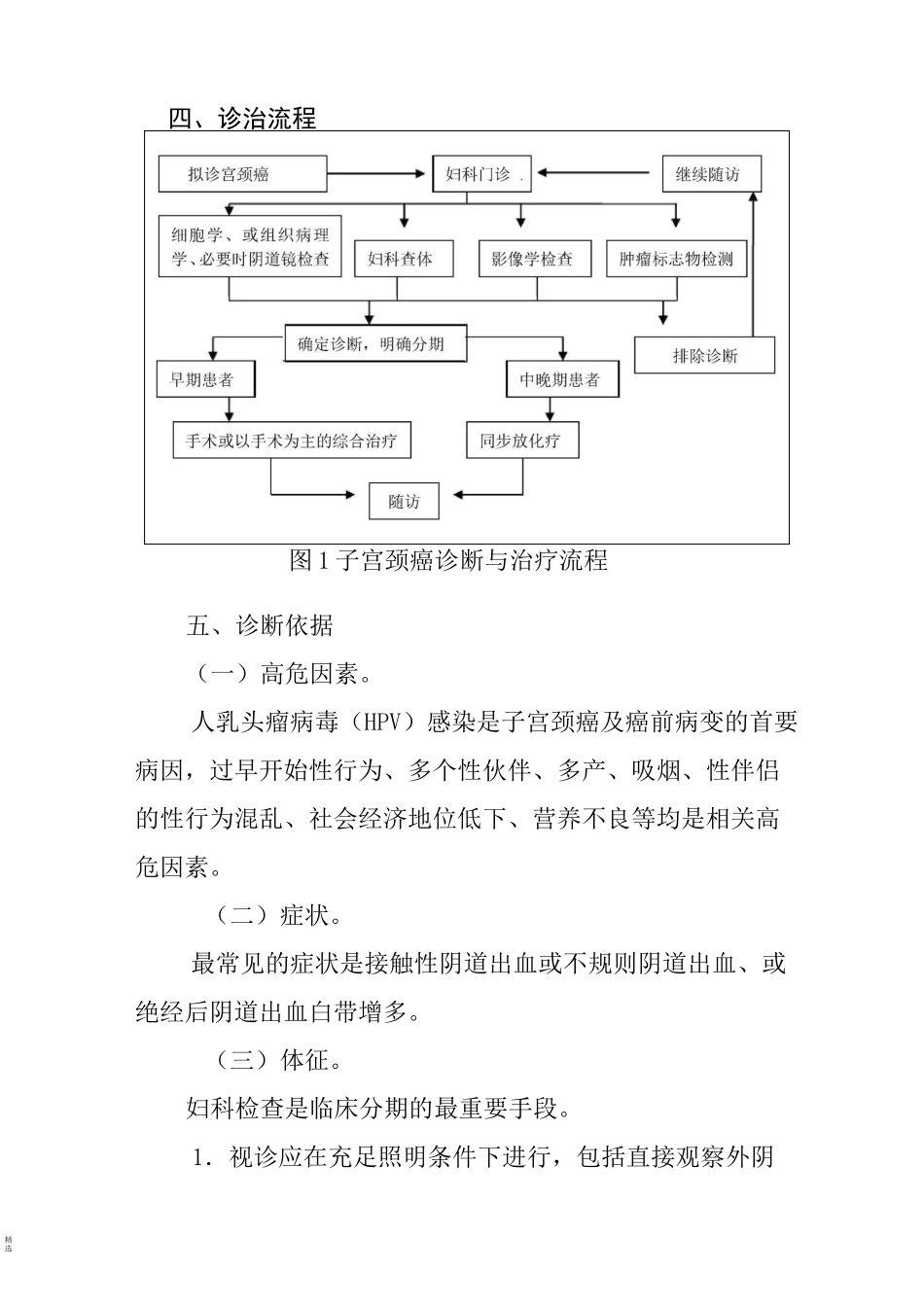 宫颈癌诊断治疗标准_第3页