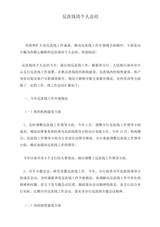 反洗钱岗个人总结