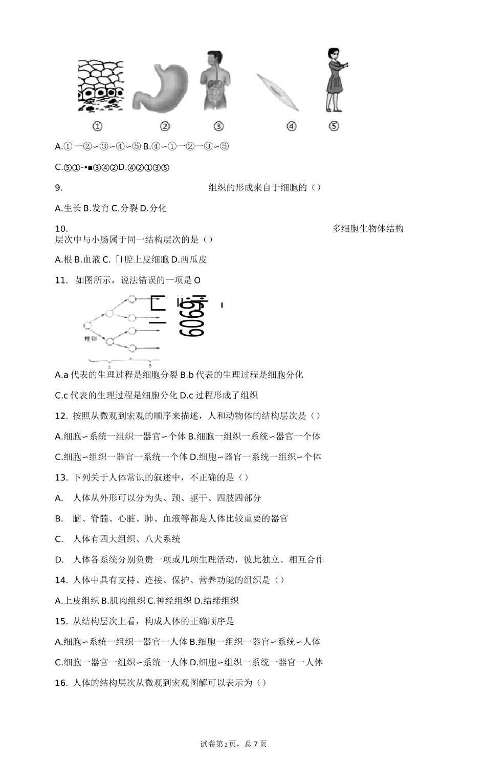动物体结构层次 习题(含答案)_第2页