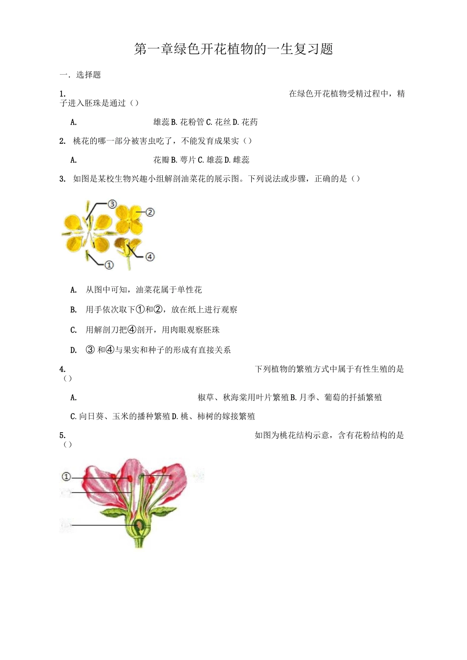 济南版生物八年级上册 第一章 绿色开花植物的一生  复习题(含答案)_第1页