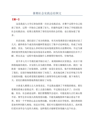 暑期社会实践总结例文