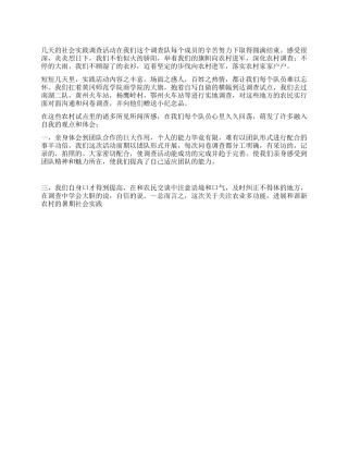 暑期社会实践调查报告心得体会