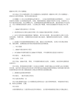 最新审计师工作计划精选