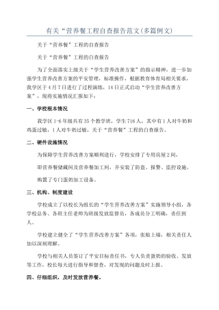 有关“营养餐工程自查报告范文