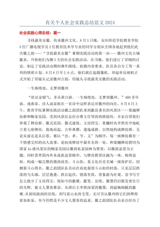 有关个人社会实践总结范文2024