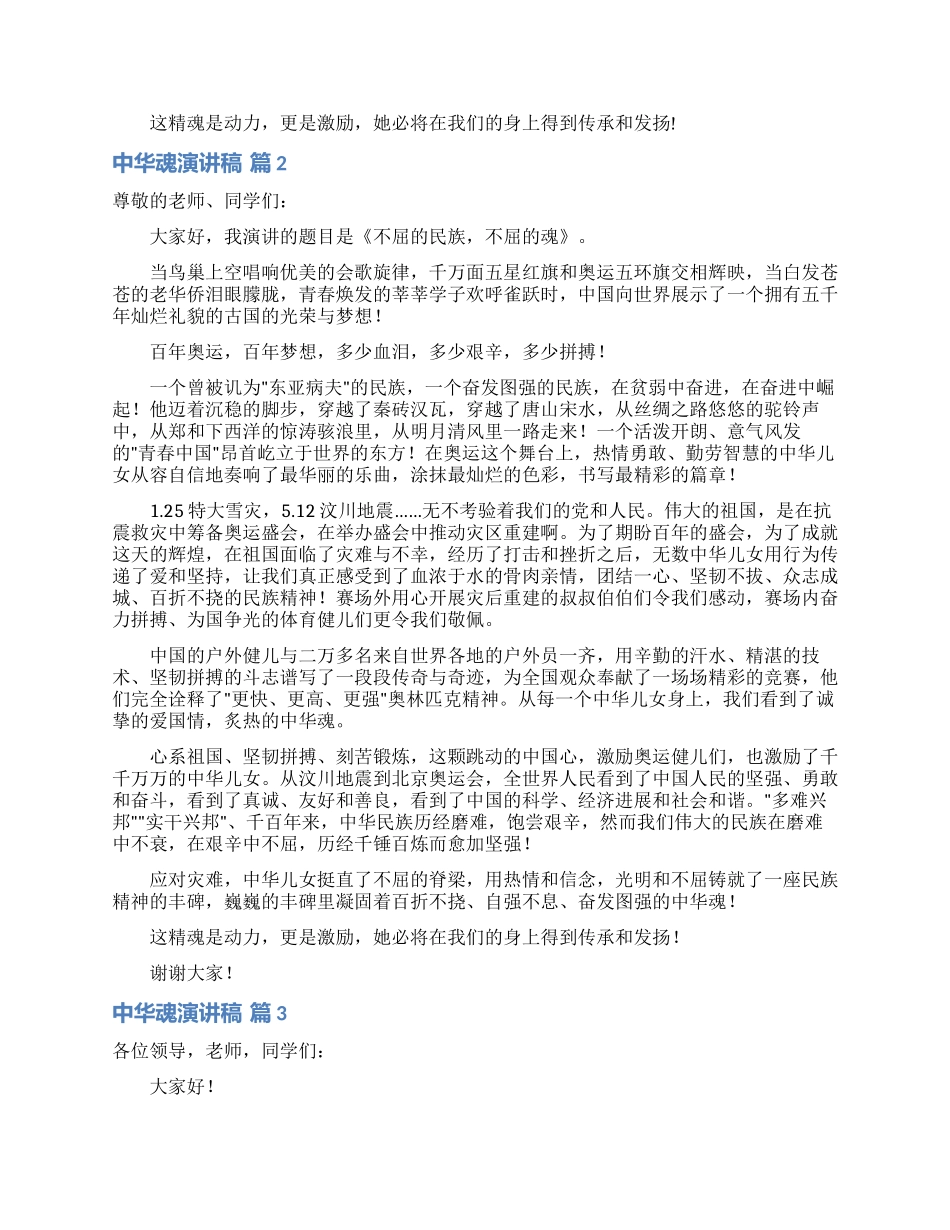 有关中华魂演讲稿范文集锦九篇_第2页