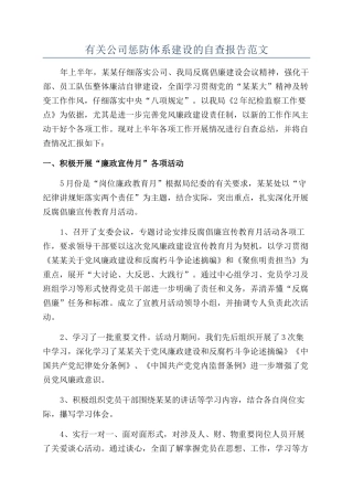 有关公司惩防体系建设的自查报告范文