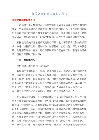 有关公款吃喝自查报告范文
