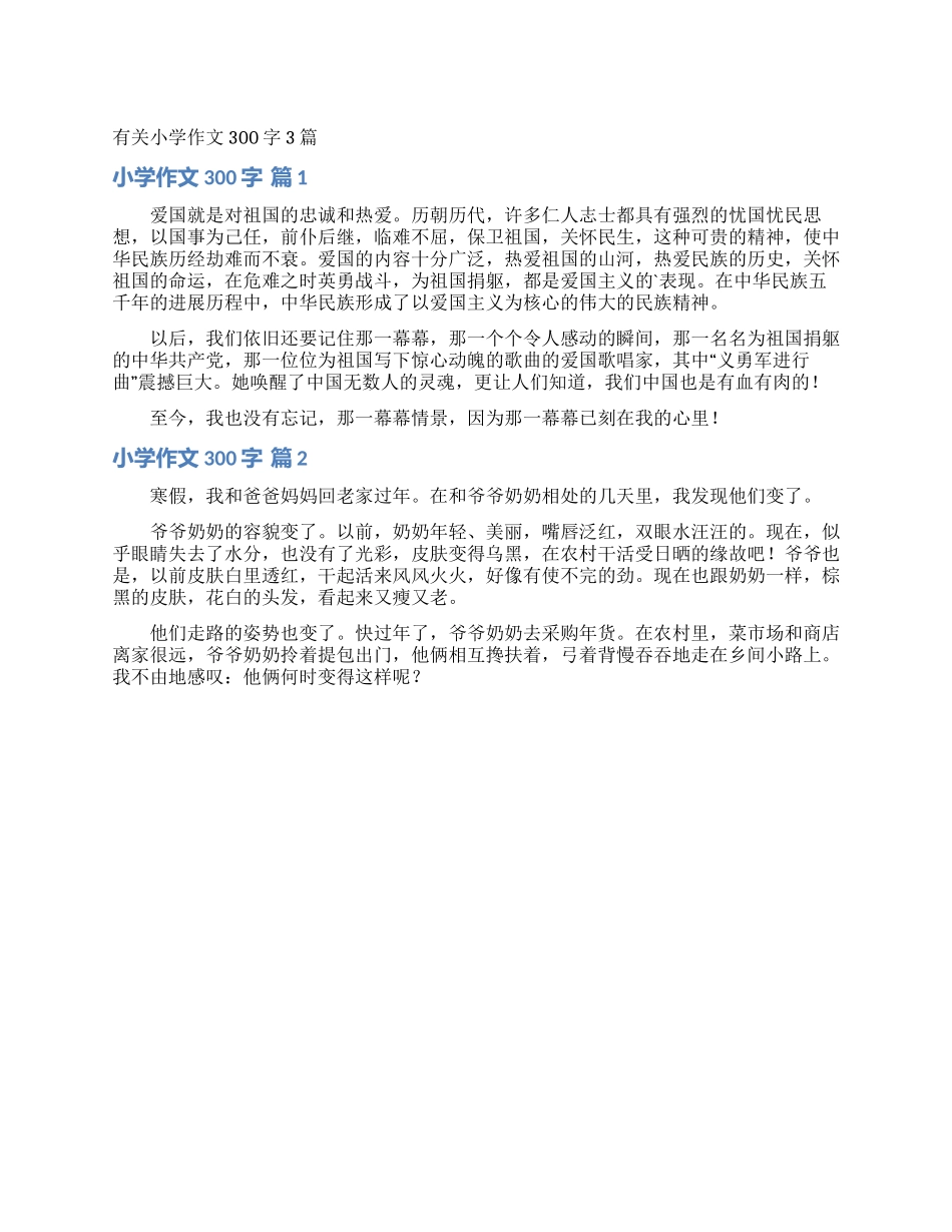 有关小学作文300字3篇_第1页
