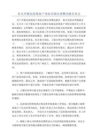 有关开展反洗钱客户身份识别自查整改报告范文