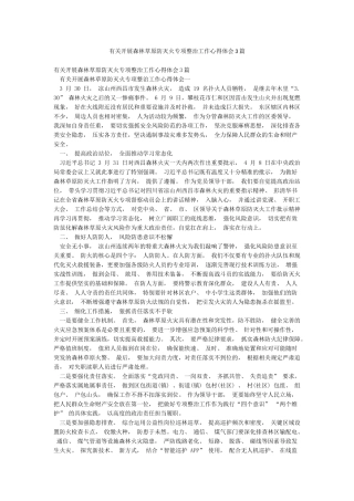 有关开展森林草原防灭火专项整治工作心得体会3篇