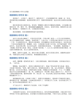 有关观察柳树小学作文四篇