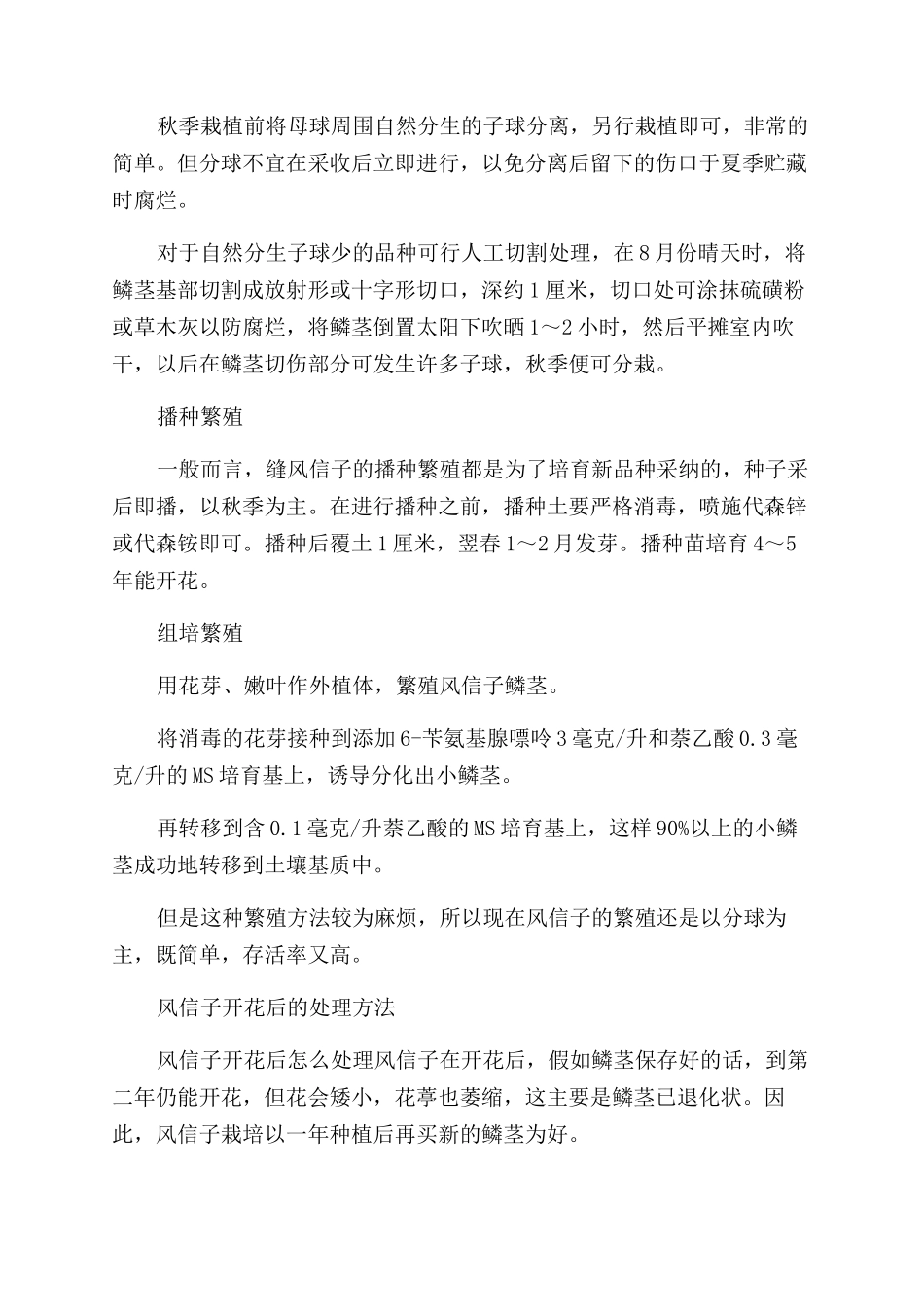 有关风信子的养殖方法介绍_第2页
