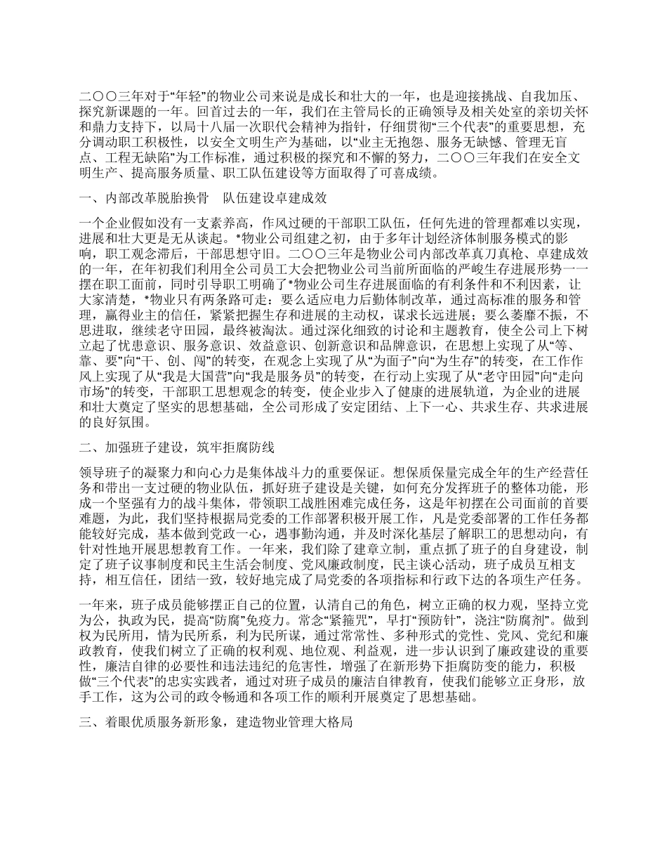 有限责任公司年终工作总结_第1页