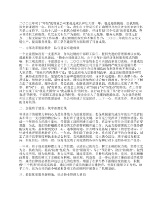 有限责任公司年终工作总结