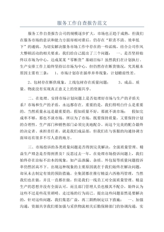 服务工作自查报告范文