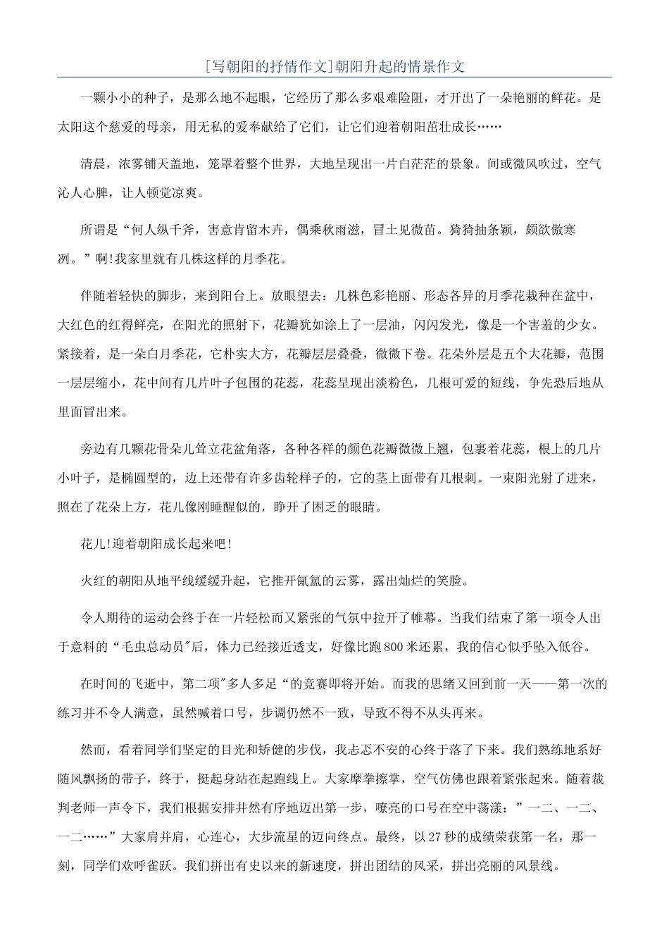 朝阳升起的情景作文_第1页