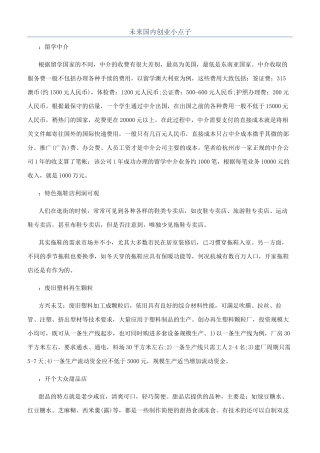 未来国内创业小点子