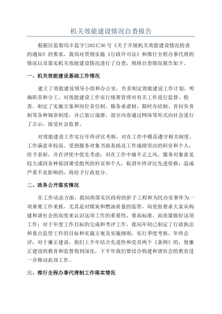 机关效能建设情况自查报告