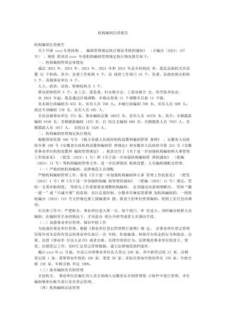 机构编制自查报告
