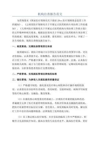 机构自查报告范文