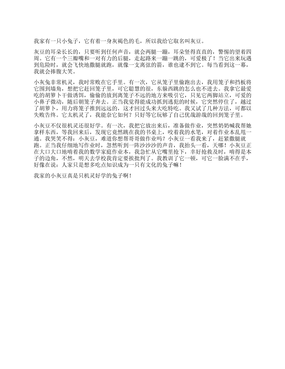 机灵鬼灰豆作文700字_第1页