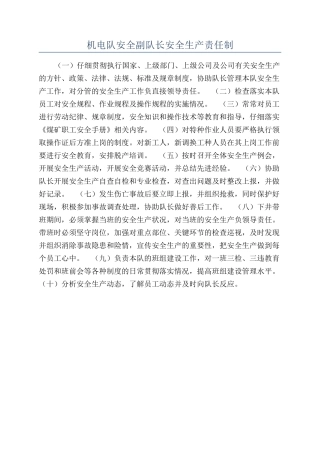 机电队安全副队长安全生产责任制