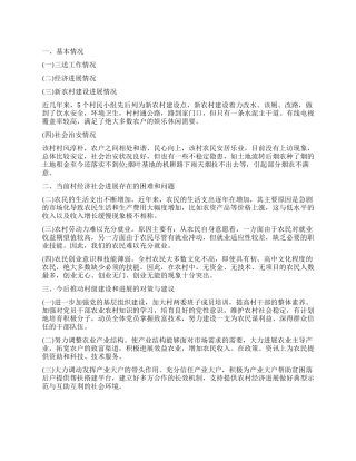 村情调查报告3篇