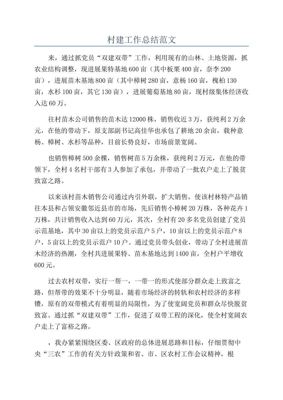 村建工作总结范文_第1页