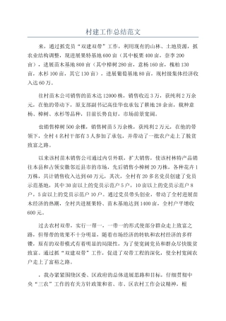 村建工作总结范文