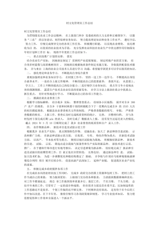 村文化管理员工作总结