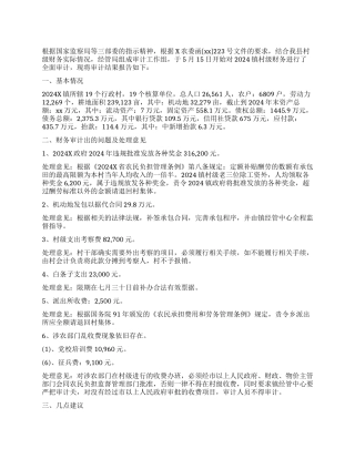 村级账务审计报告3篇