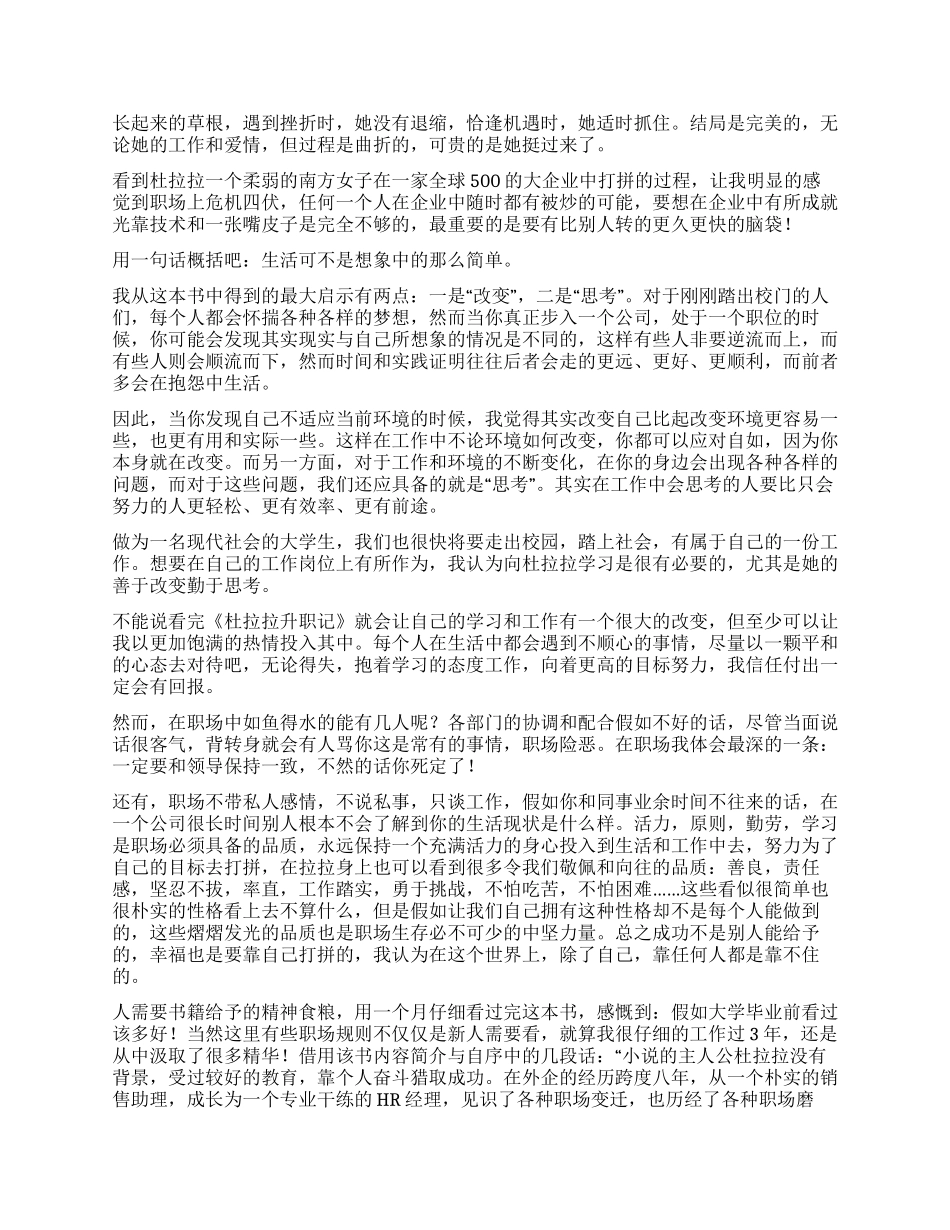 杜拉拉升职记读后感_第3页