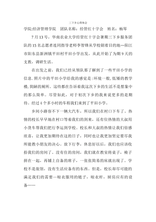 杨琴-三下乡总结