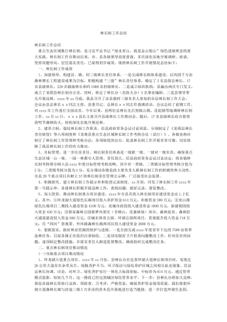 林长制工作总结