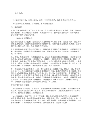 果树蔬菜栽培技能训练实习报告