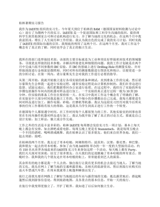 柏林暑期实习报告