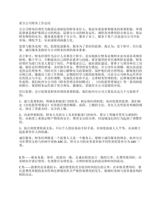 某分公司财务工作总结