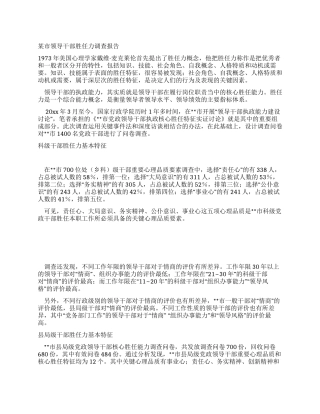 某市领导干部胜任力调查报告