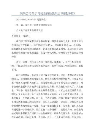 某某公司关于再就业的经验发言