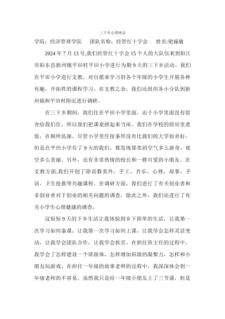 梁施敏-三下乡总结