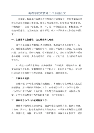 梅槐学校政教处工作总结范文