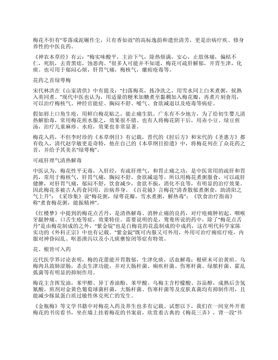 梅入药圃花更香_第1页