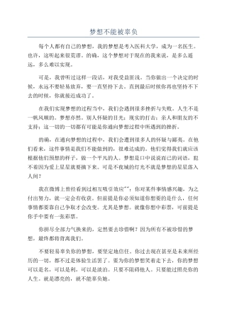 梦想不能被辜负