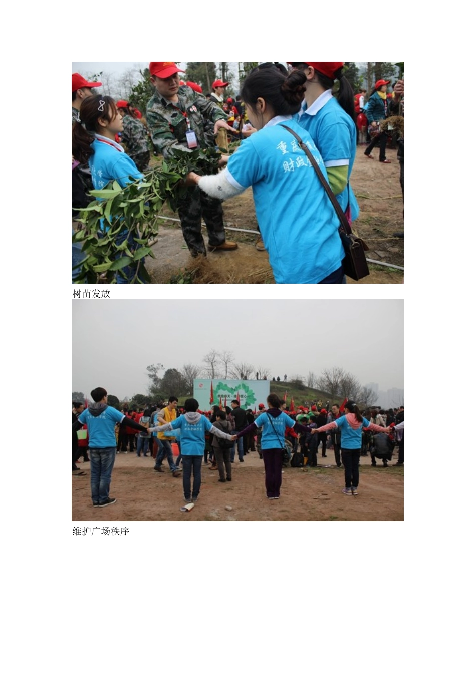 植树节活动新闻稿_第2页