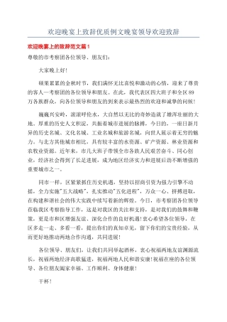欢迎晚宴上致辞优质例文晚宴领导欢迎致辞.docx