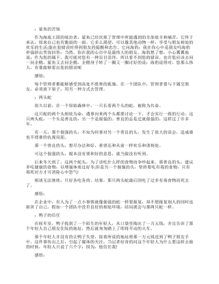 正能量团队故事